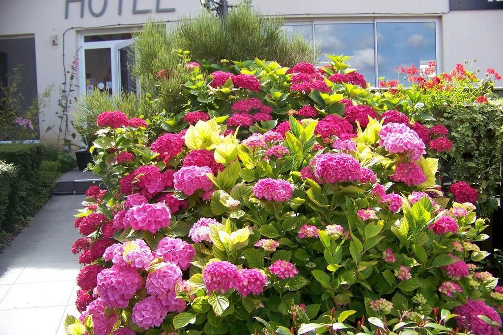 Hotel Bal Tournehem Eksteriør billede